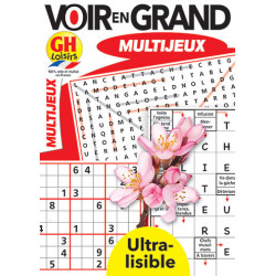 Voir en grand multijeux N°13