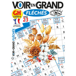Voir en grand fléchés N°31...
